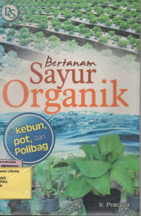 Bertanam Sayur Organik