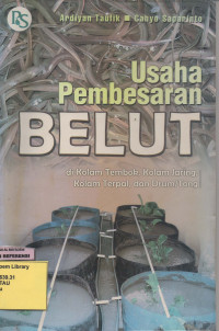 Usaha Pembesaran Belut